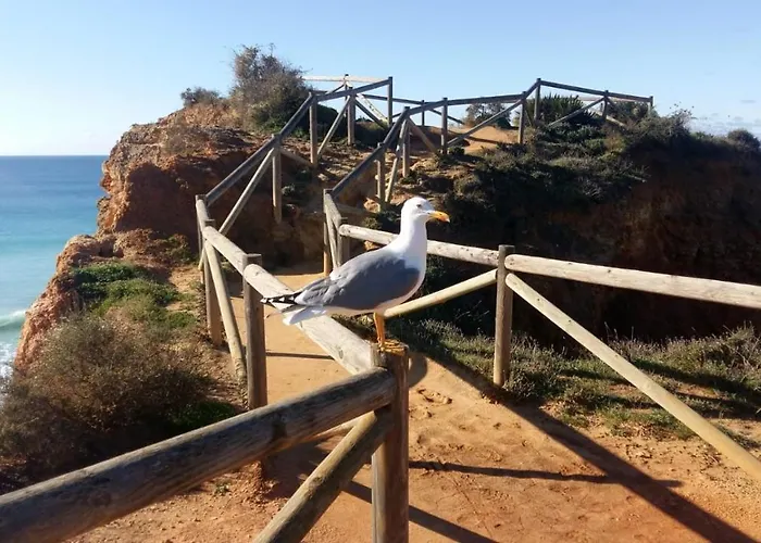 Апартаменты Mar